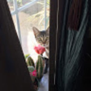 Meet your Posher, Yvette